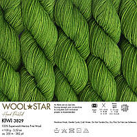 Gazzal WOOL STAR (Газзал Вул Стар) №3829 зелений (Пряжа мериносова вовна нитки для в'язання)