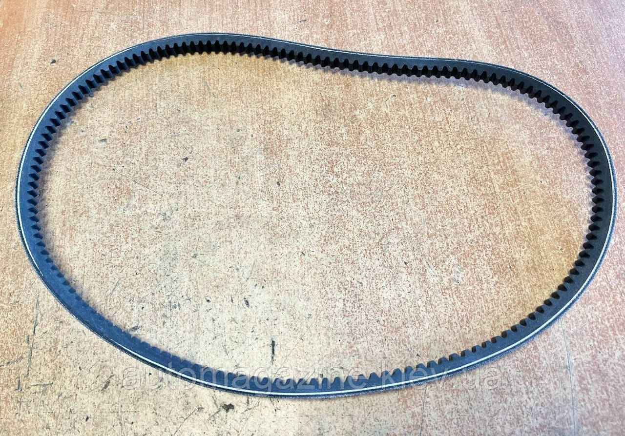 Ремінь генератора зубчастий 13х1040 Газель Бізнес, фото 1