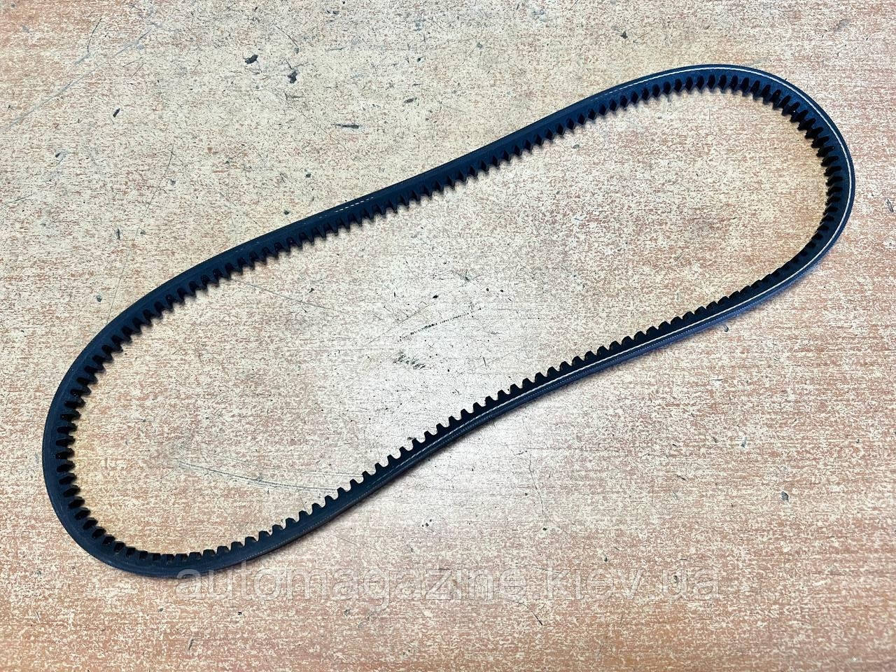 Ремінь генератора зубчастий 10х875 Газель Бізнес, фото 1