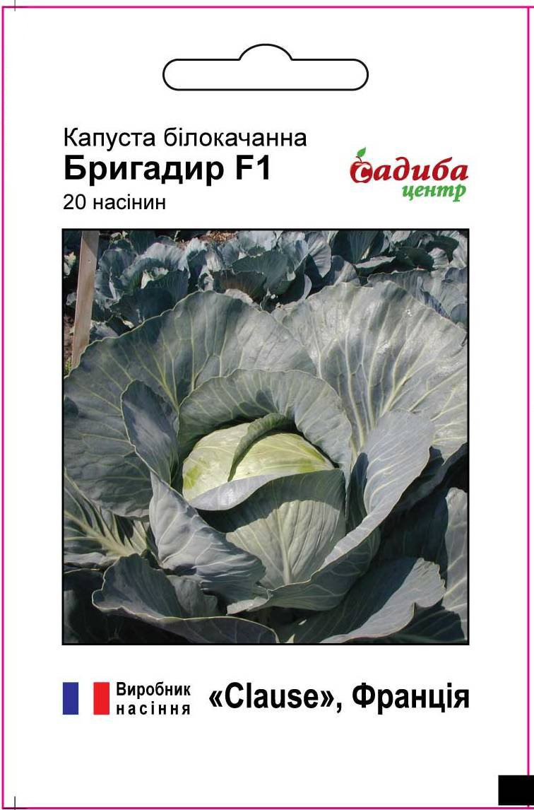 Капуста Бригадир F1 20 шт Садиба Центр