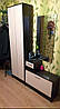 Передпокій Модерн шафа 600х300 h-2050мм    Алекса-СМ, фото 7