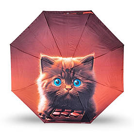 Дитяча парасолька складна автоматична Fiaba, Котик синьоокий