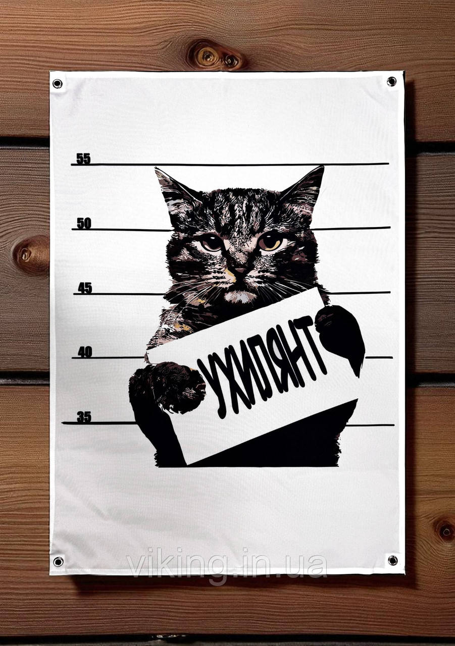 Банер "Кіт порушник", фото 1
