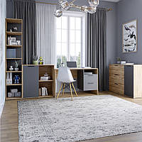 Гарнітур для кімнати LION Краш Дуб аппалачі/Антрацит з 4 елементів (LION-044183)