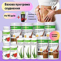 Набір для похудіння "Вибір" Гербалайф коктейль протеїновий жироспалювачі детокс програма бади таблетки препарати протеїн засоби