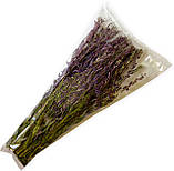 Ласощі для гризунів та папуг Букет з Іван-чаю, 80 г, фото 2