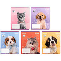 Зошит шкільний Kite 12 аркушів клітинка, софт тач + УФ лак Rachael Hale