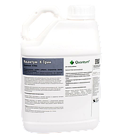 Квантум К-Трин