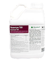 Квантум Т80 (Quantum-Т80)
