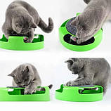 Компактна іграшка для котів з точилкою для кігтів Салатовий, фото 5