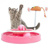 Іграшка-трек Cat Scratch Pen і мишка на пружині для котів 2в1 Рожевий, фото 2