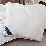 Ковдра демісезонна касетна пухова преміум якості COTE BLANC Євро розмір 200х210 см, фото 3