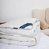 Ковдра демісезонна касетна пухова преміум якості COTE BLANC Євро розмір 200х210 см, фото 6