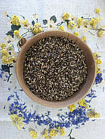 Розторопша плямиста (Silybum marianum) 500г