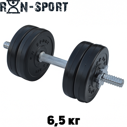 Гантель розбірна композитна домашня гантель пластикова для тренувань RN Sport Dumbbells ABS 6,5 кг, фото 1