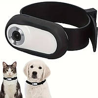 Беспроводная камера ошейник для домашних животных 1080P для наблюдения за питомцем
