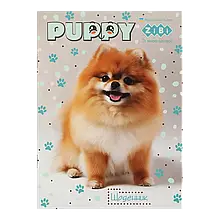 Щоденник ZiBi А5 / м. обл. лак / CUTE PUPPY