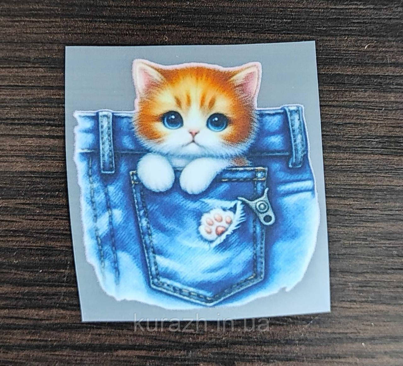 Термонаклейки на одяг "Котик в карманчику", фото 1