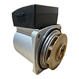 Насос ERCO DWP15-60-A для газового котла Viessmann, аналог Grundfos UPS 15-60, фото 3