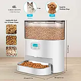 Годівниця для котів та собак автоматична Honeyguaridan S56 WiFi 6л Біла, фото 5