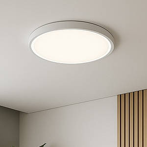 Світильник світлодіодний настінно-стельовий круглий Violux RODOS 24W білий