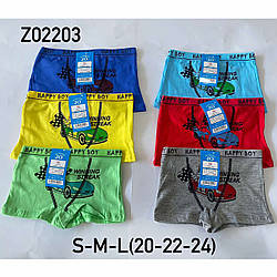 Дитячі боксери "Машина" для хлопчика Розміри: 3-5, 5-7, 7-9 років (14838)