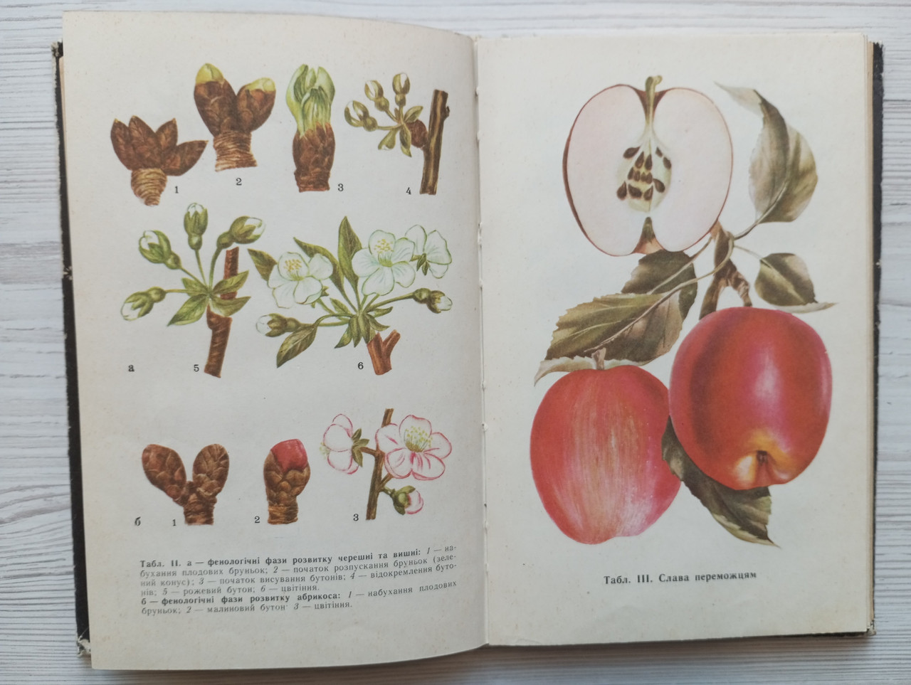 Product image preview