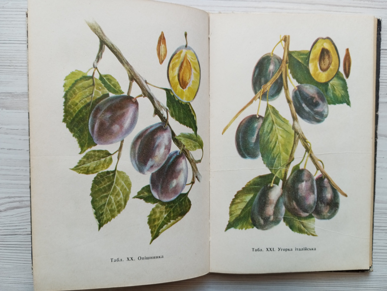 Product image preview