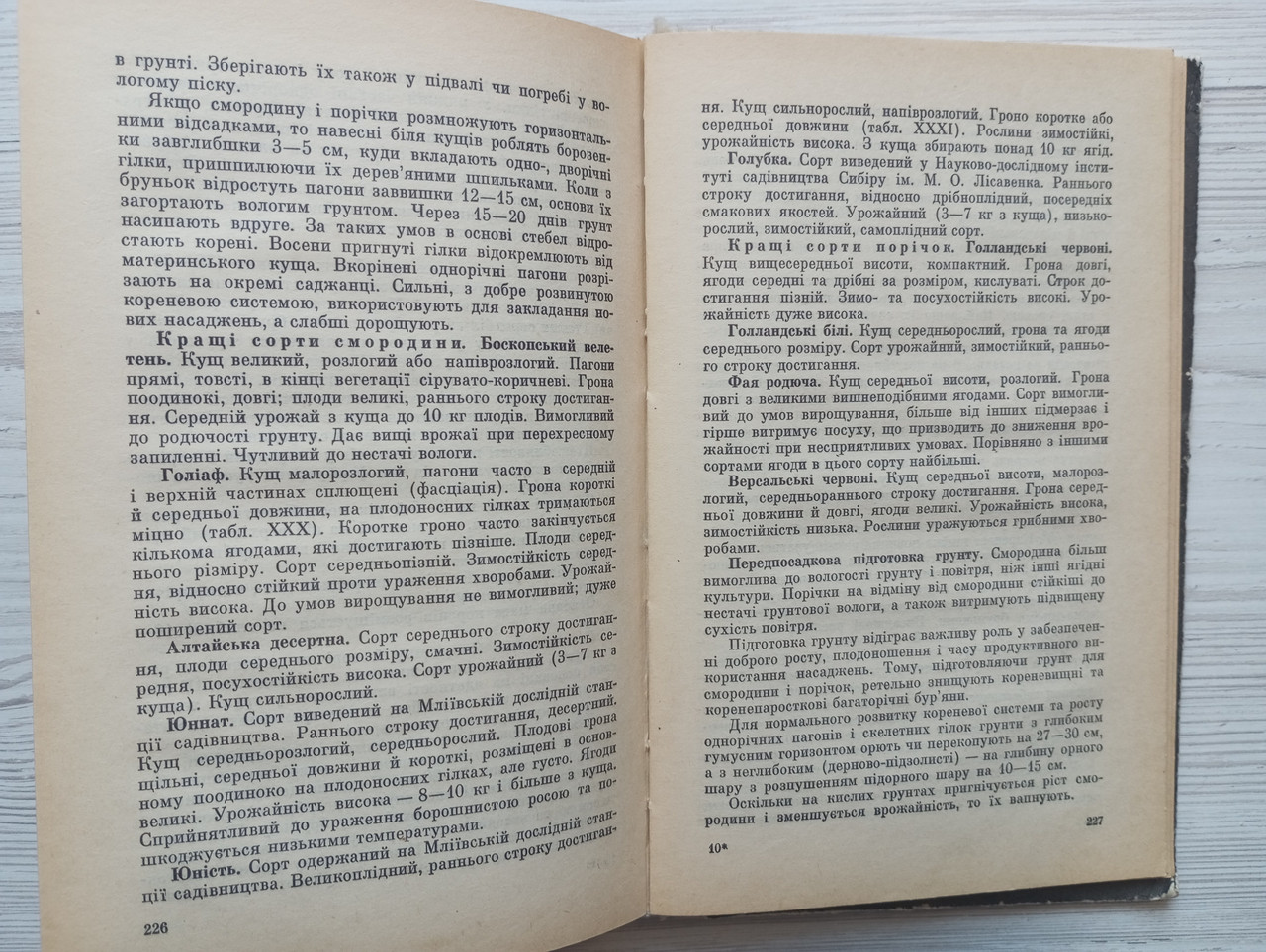 Product image preview