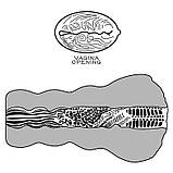 Мастурбатор, стимулятор Aliens Pie Masturbator No3 TPE, коричневий, фото 5