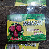 Макуха пресована Проф Монтаж "Секрет улова"(Малина) , упаковка 8 штук, фото 2