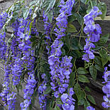 Штучна гліцинія гілка ампельна бузкова світла 80 см за 12 шт, фото 6