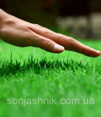 Газон Ліліпут, 1кг