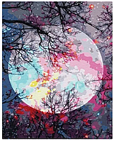 Набір для малювання за номерами "Нічне сяйво місяця" 40×50 см