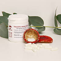 Капсулы с красным мухомором (Amanita muscaria) 120 шт 0.5г