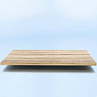 Полиця верхня / нижня до PENELOPE ODISSEY-4757.  ДСП 472х572х16мм, фото 4