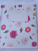 Зошит шкільний 24 аркуші лінійка Brisk ТВ-109 л* Бриск