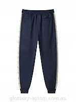 Спортивні утеплені штани чоловічі оптом, Glo-story, M-2XL рр, No MRTL-5220, фото 4
