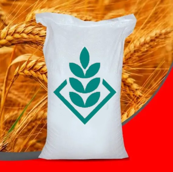 Насіння озимої пшениці СН Комбін остиста Еліта, фото 1