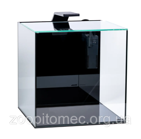 Акваріумний набір Collar (Колар) BlackCube з чорною задньою стінкою Акваріумний набір з чорною задньою стінкою