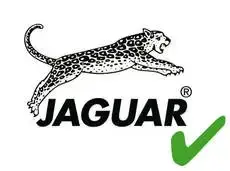 Професійні фени Jaguar 