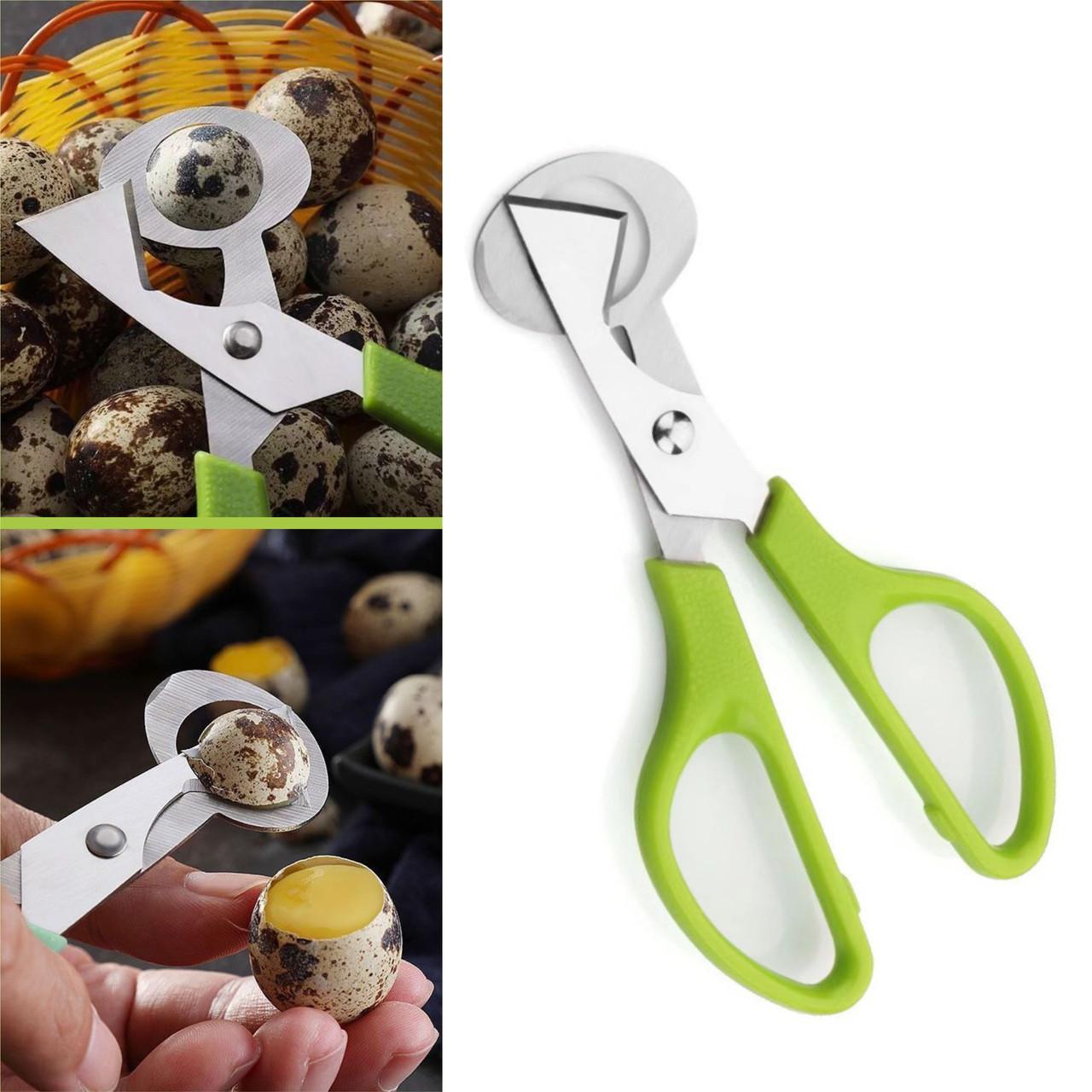 Ножиці для перепелиних яєць - нержавіюча сталь