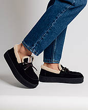 Туфлі зимові Suny Liana 6580 замша хутро, фото 2