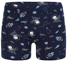 Труси-боксери для хлопчика, 4-5 років (зріст 110-116)