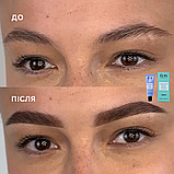 Гель-фарба для брів | Umber | Brow Gel Tint ELAN | 20 мл, фото 3