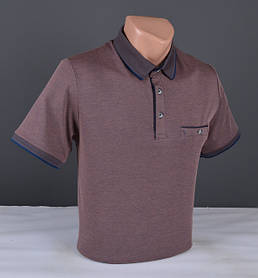 ВЕЛИКІ РОЗМІРИ - чоловічих футболок з коміром / ПОЛО