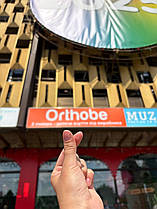 Orthobe – взуття від виробника для здоров’я і комфорту