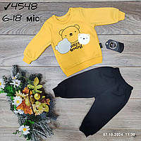 Костюм двійка дитячий на флісі з принтом на хлопчика 6-18 міс (3цв) "MANGO" купити гуртом в Одесі на 7км