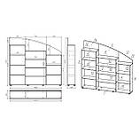 Дитяча стінка для іграшок «Анюта» DS-546, фото 10
