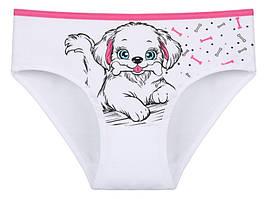 Трусики для дівчинки, 2-3 роки (зріст 98-104)